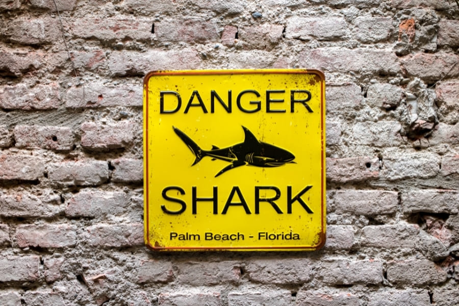 Shark Attacks - Sharks by Florida