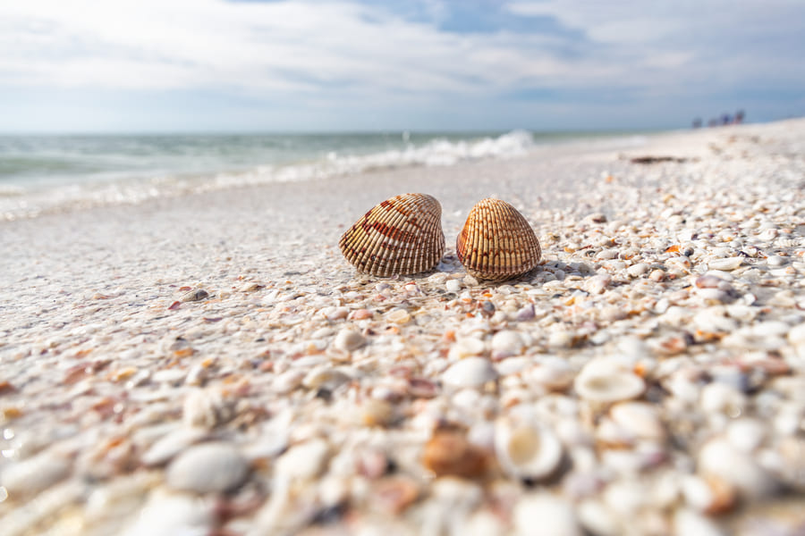 Best Sights and Attractions - Sanibel Island